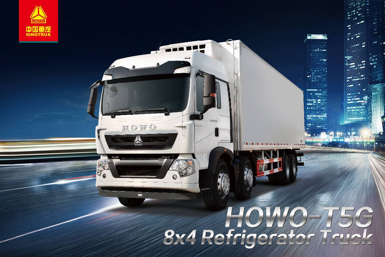 <b><br></b><br><br><br><br><br><br><br><br><br><br><b>SINOTRUK - HOWO</b>